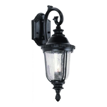 TRANS GLOBE One Light Black Copper Clear Crackled Finish Glass Wall Lantern 4020 BC